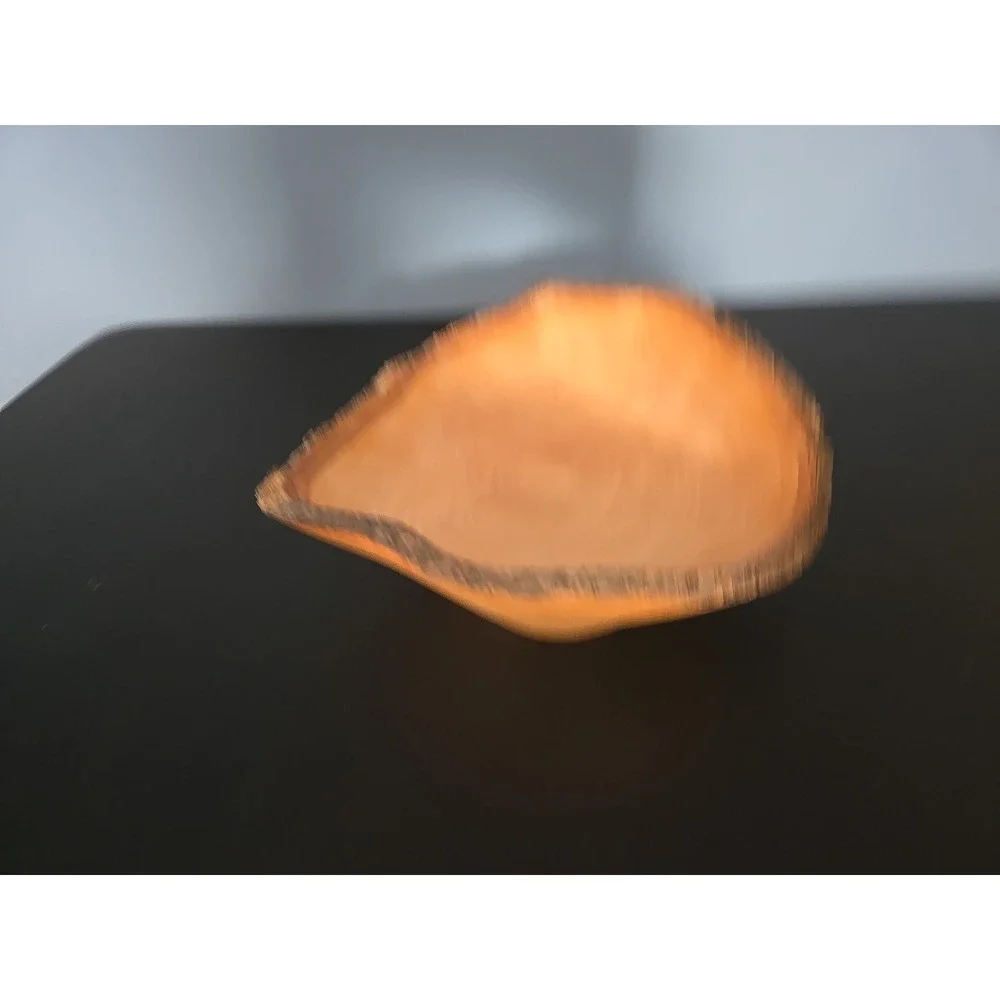 Live Edge Rustic Wood Bowl Hand Carved ‎ Natural Edge ~11